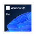  Win 11 Pro 64Bit Eng Intl 1pk DSP OEI DVD FQC-10528