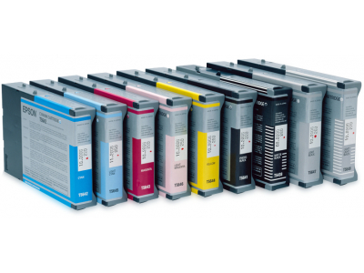 Epson Singlepack Light Black T602700