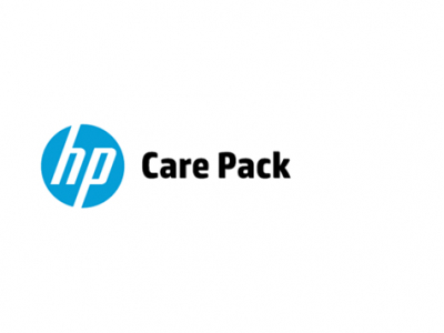 Hewlett Packard Enterprise U4AM5E IT support service