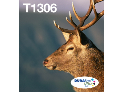 Epson Multipack 3-colours T1306 DURABrite Ultra Ink EasyMail