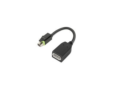 Lenovo 4X90Q93975 video cable adapter Mini DisplayPort DisplayPort Black