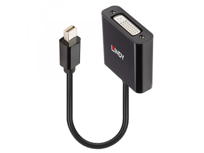 Lindy Mini DisplayPort to DVI Active Converter