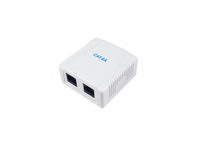 Equip 2-Port Cat.6A Surface Mount Box