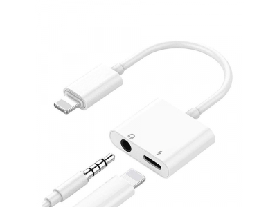 iPhone Lightning to 3.5 mm Headphone Jack Adapter (double)