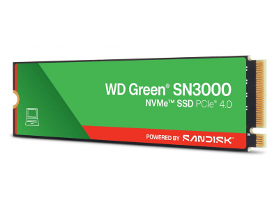 SSD|SANDISK|Bulk|150xTBW rating|MTBF 1.75 h|NVMe Yes|PCI Express 4.0|M.2|1000 GB|WDS100T4G1E-00CPS0