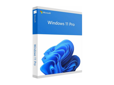 Microsoft Windows 11 Pro ENG Intl USB FPP