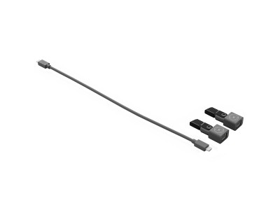 LOGITECH Rally Mic Pod Cat Coupler - GRAPHITE - WW-9006 952-000181
