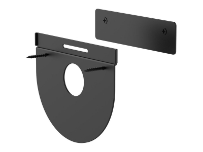 LOGITECH WALL MOUNT FOR TAP  - WW 939-001817