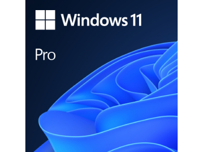  Win 11 Pro 64Bit Eng Intl 1pk DSP OEI DVD FQC-10528