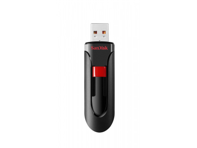 MEMORY DRIVE FLASH USB2 256GB/SDCZ60-256G-B35 SANDISK