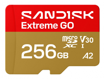 MEMORY MICRO SDXC 256GB UHS-I/SDSQXGN-256G-GN6MN SANDISK