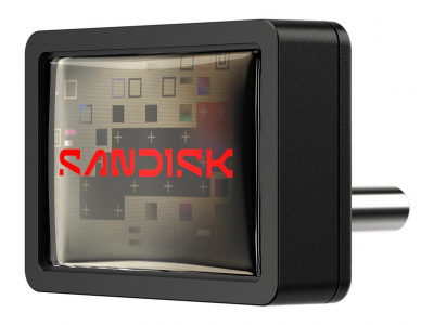 MEMORY DRIVE FLASH USB-C 256GB/SDCZ530-256G-G46 SANDISK