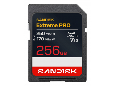 MEMORY SDXC 256GB UHS-1/SDSDXXJ-256G-GSCIN SANDISK