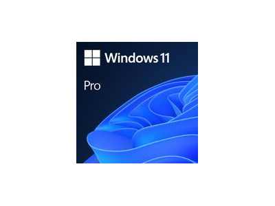 Software|MICROSOFT|Win 11 Pro 64Bit Eng Intl 1pk DSP OEI DVD|Win Pro|OEM|English|FQC-10528