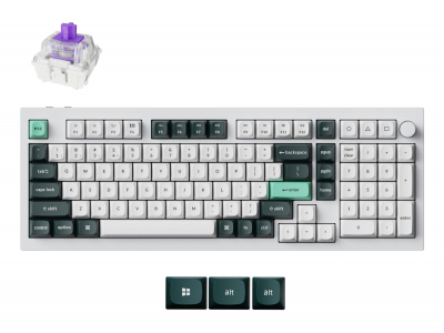 KEYBOARD WRL Q5 HE RGB/SHELL WHITE Q5H-P1 KEYCHRON