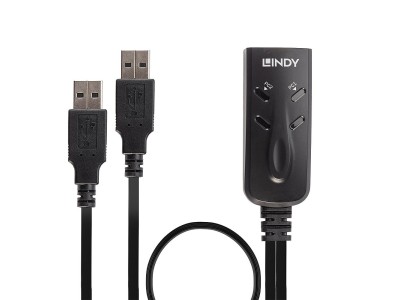 Lindy 2 Port USB KM Switch - Tastatur-/Mausschalter - 2 x USB - Desktop (32165)