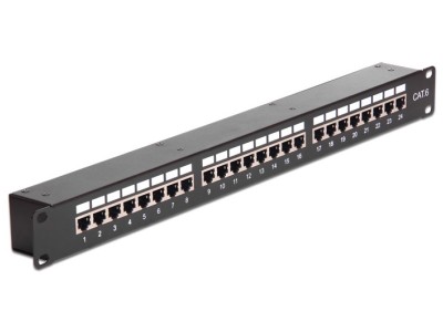 DeLOCK - Patch-Panel mit Kopplern - RJ-45 X 24 - Schwarz - 1U (43295)